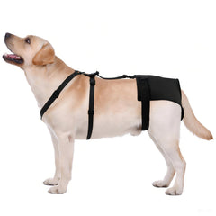 yrenoer dog pants anti-slip fit helps prevent slipping during movement