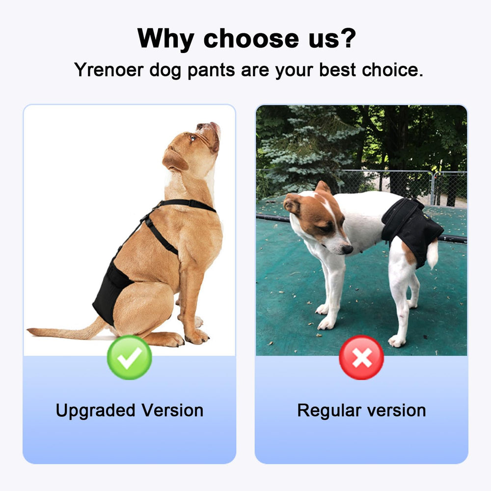 yrenoer washable dog pants easy-clean material ideal for reuse