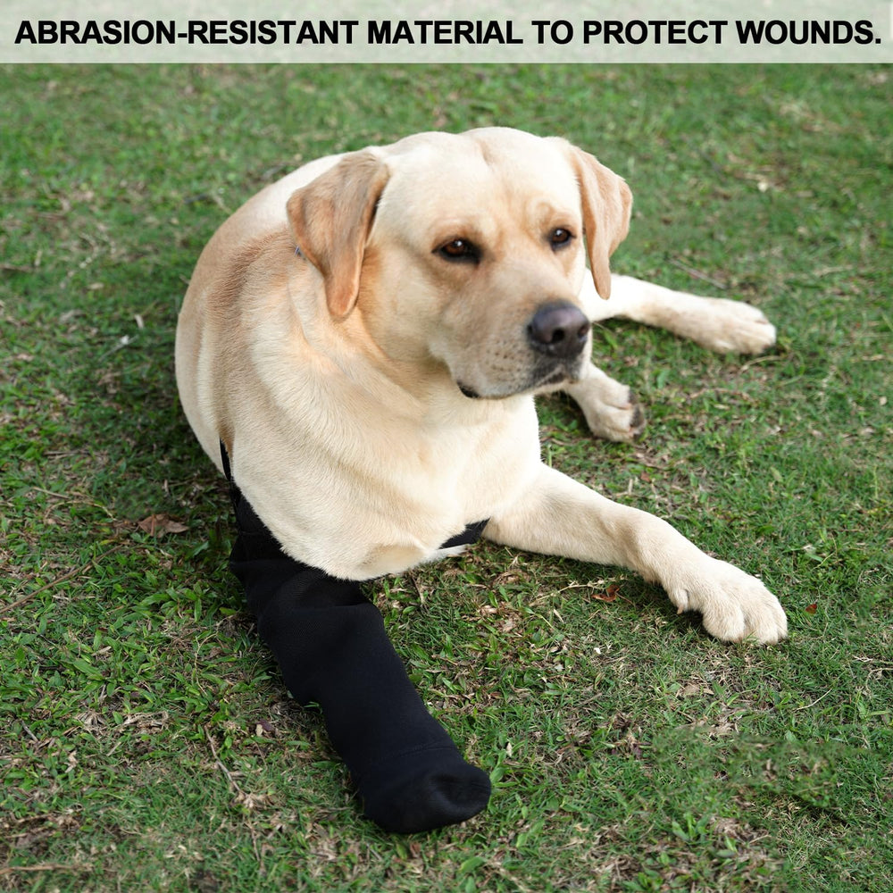 Yrenoer dog recovery socks escape-resistant fit demonstrated on running dog