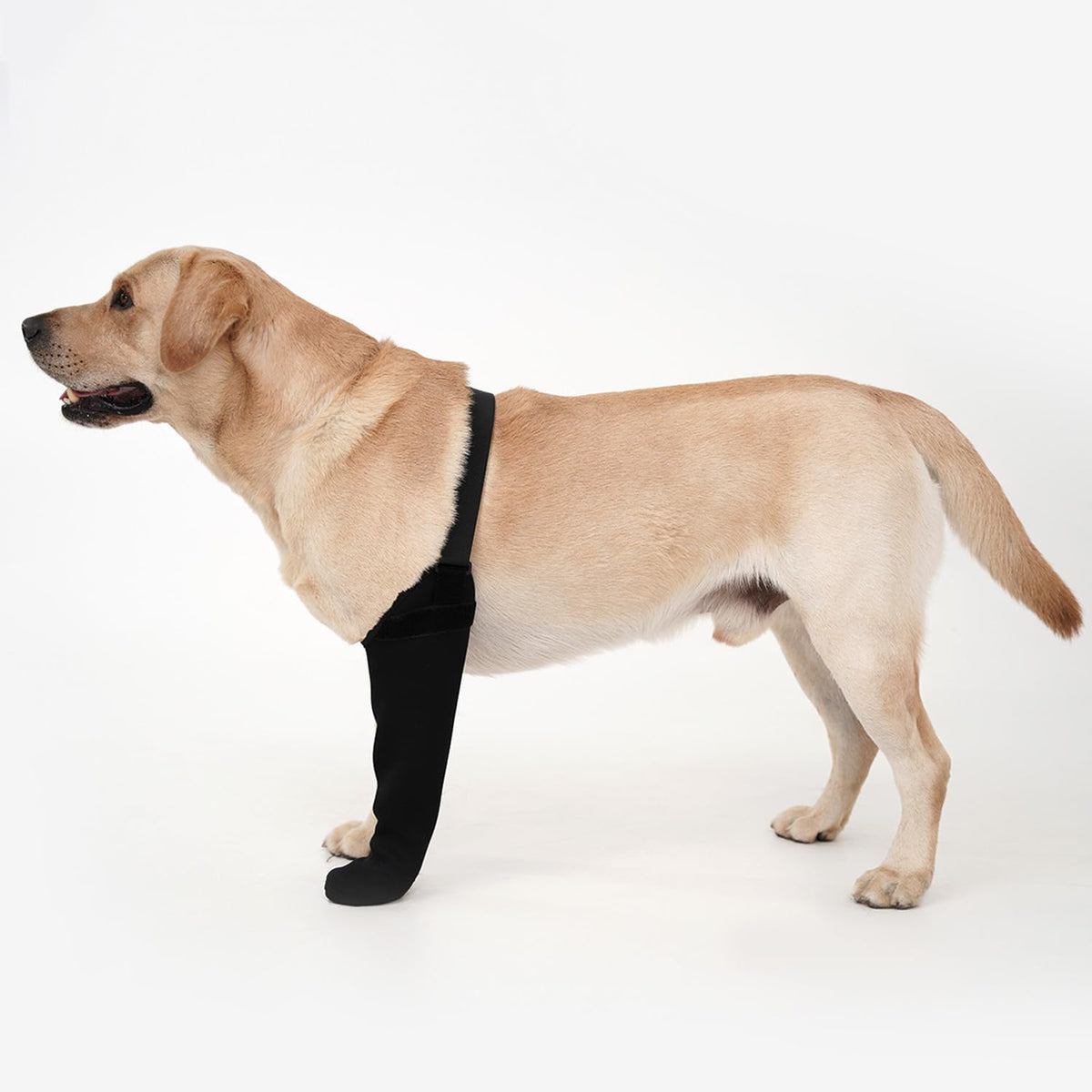 yrenoer dog recovery socks waterproof paw protectors keep healing paws dry and protected.