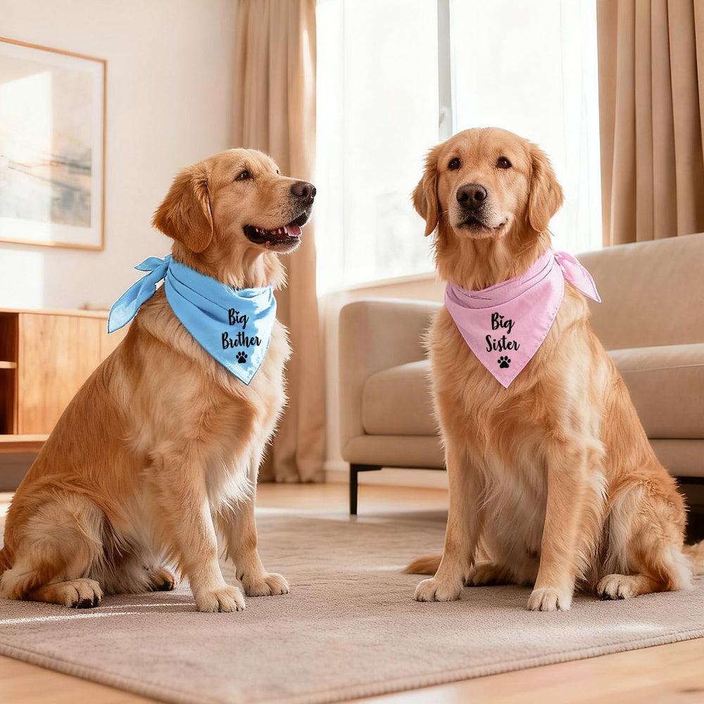 YROVWENQ bandana suitable for weddings and photo shoots