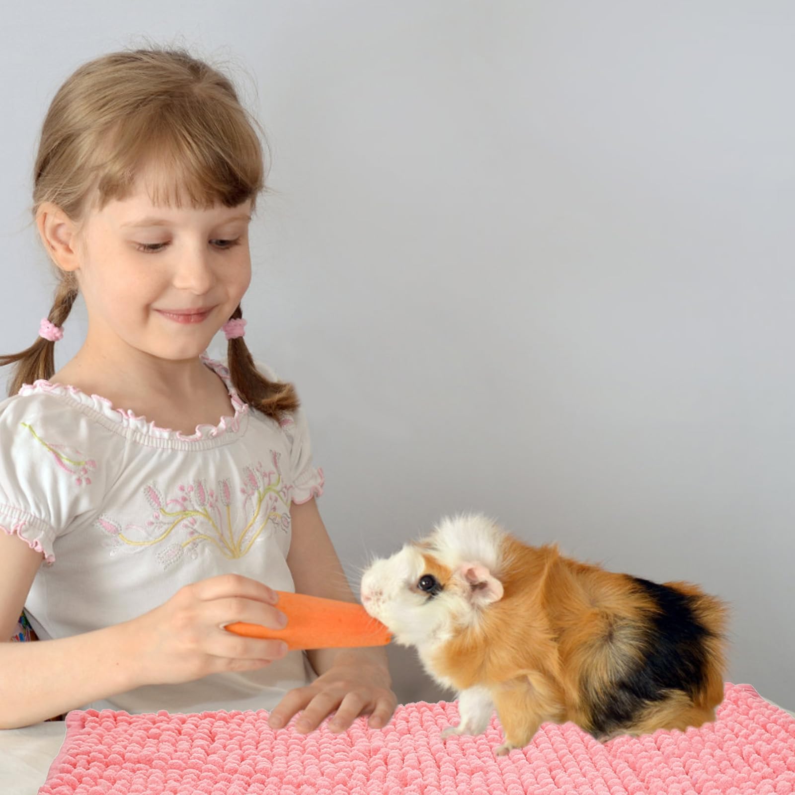 Ysglory four-color options brighten habitats and support color-coded zones.