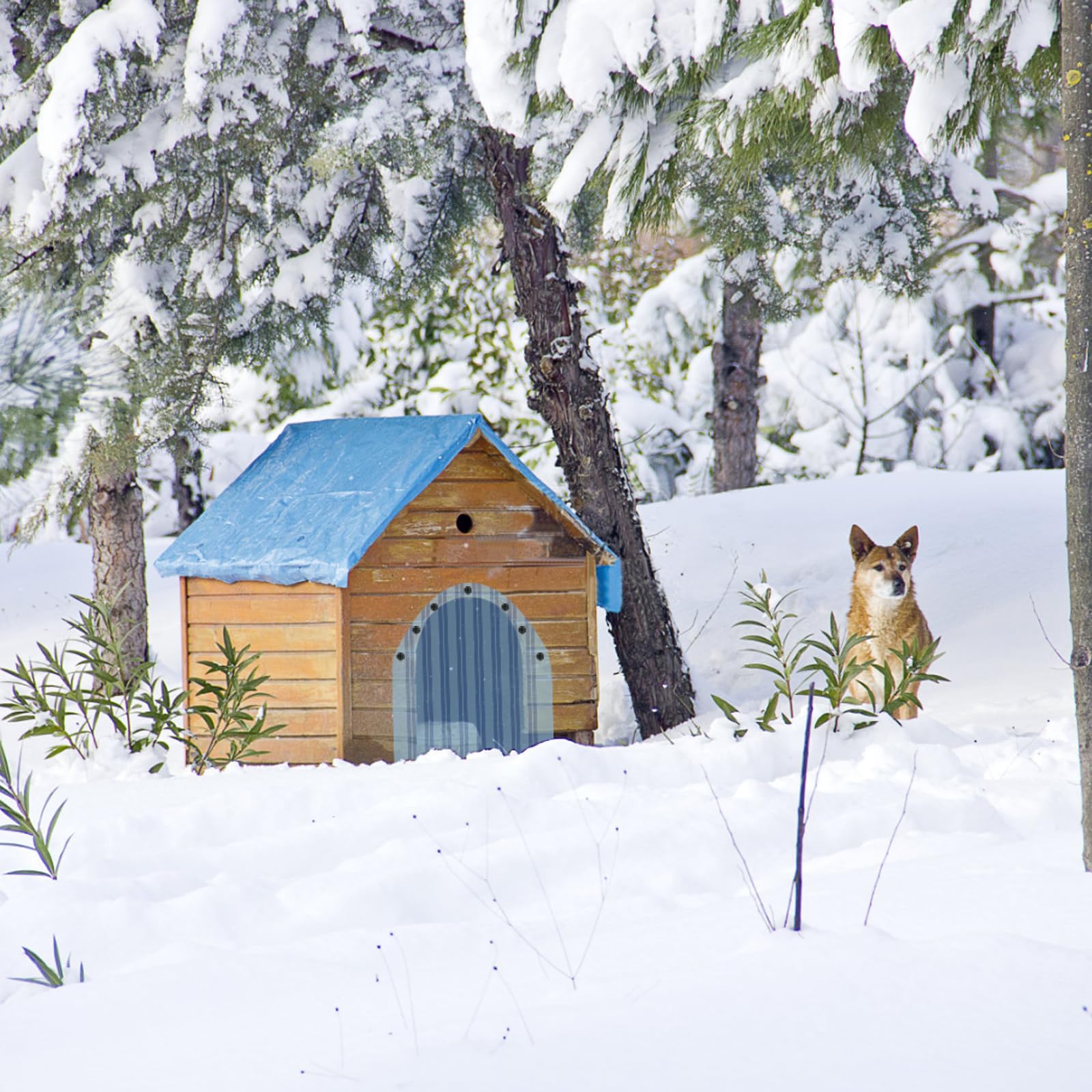 Ysglory pvc dog door flap safe material provides durable weather resistance.