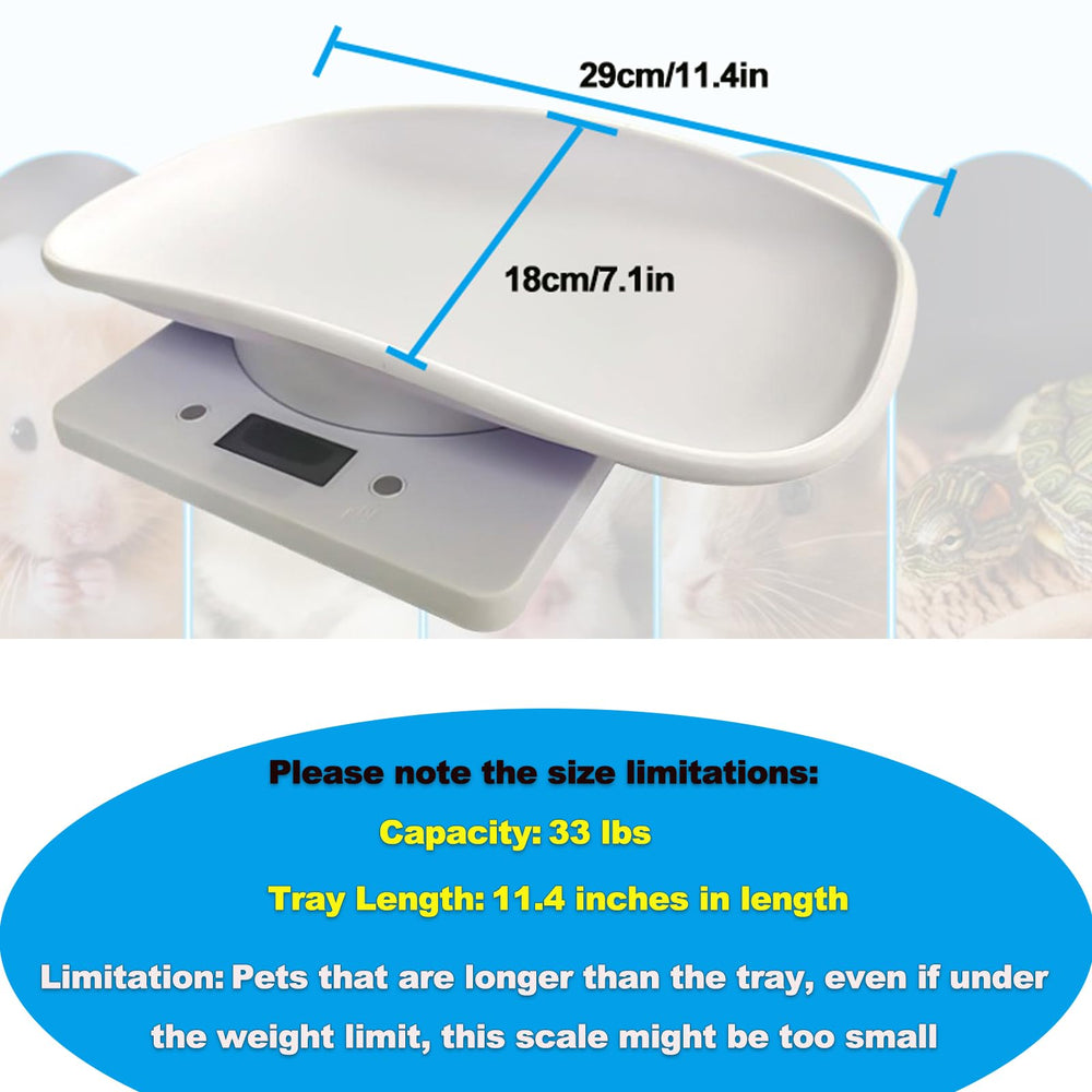 YTCYKJ soft pet collars kit provides gentle wear for small pets.