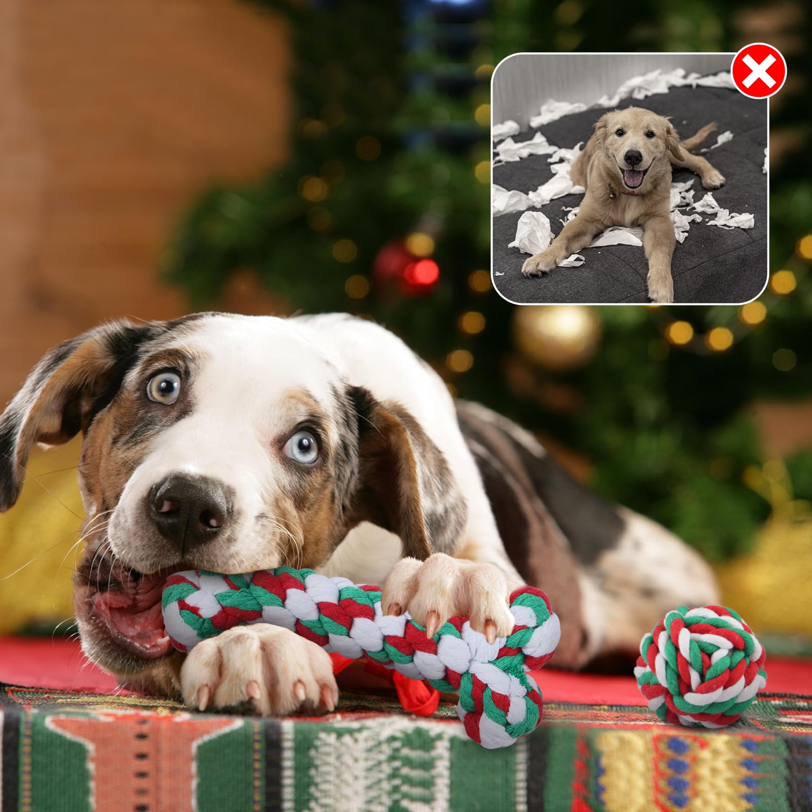 Yteseery Christmas lucky bag squeaky toy adds engaging chewing moments.