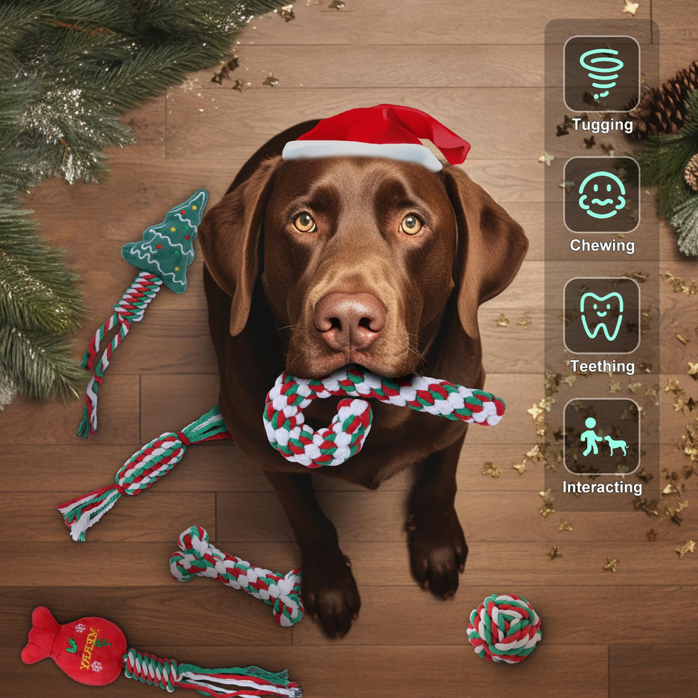 Yteseery dog bone rope toy supports solo chewing and teeth-friendly fun.