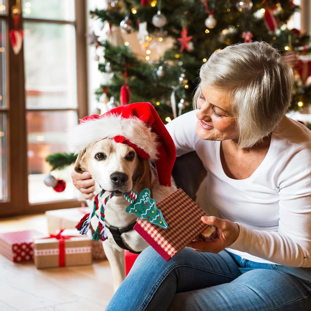 Yteseery festive surprise gift squeaker toy encourages interactive tug and fetch.