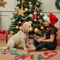 Yteseery rope toy with long ends for interactive fetch and tug.