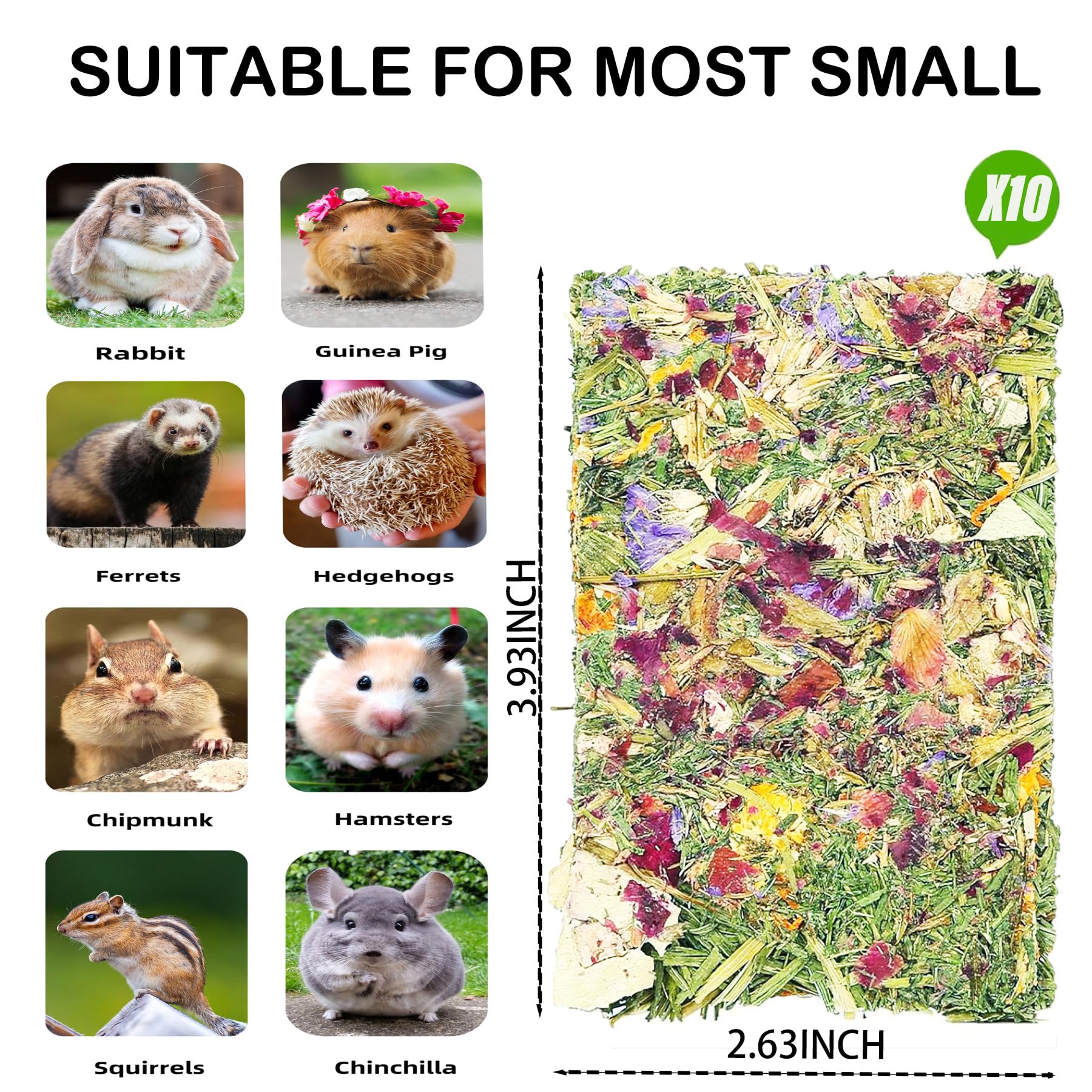 YTSKJ Rabbit Toys dental-chew action shows chewing for oral comfort.