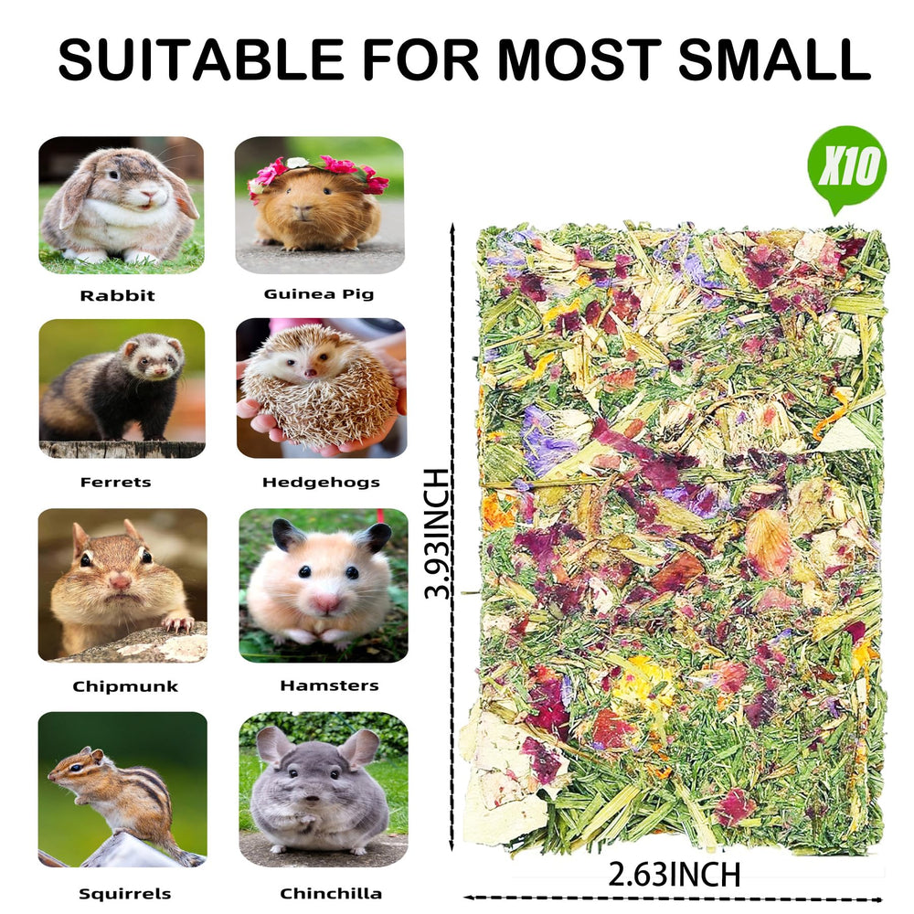 YTSKJ Rabbit Toys dental-chew action shows chewing for oral comfort.