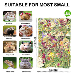 YTSKJ Rabbit Toys dental-chew action shows chewing for oral comfort.