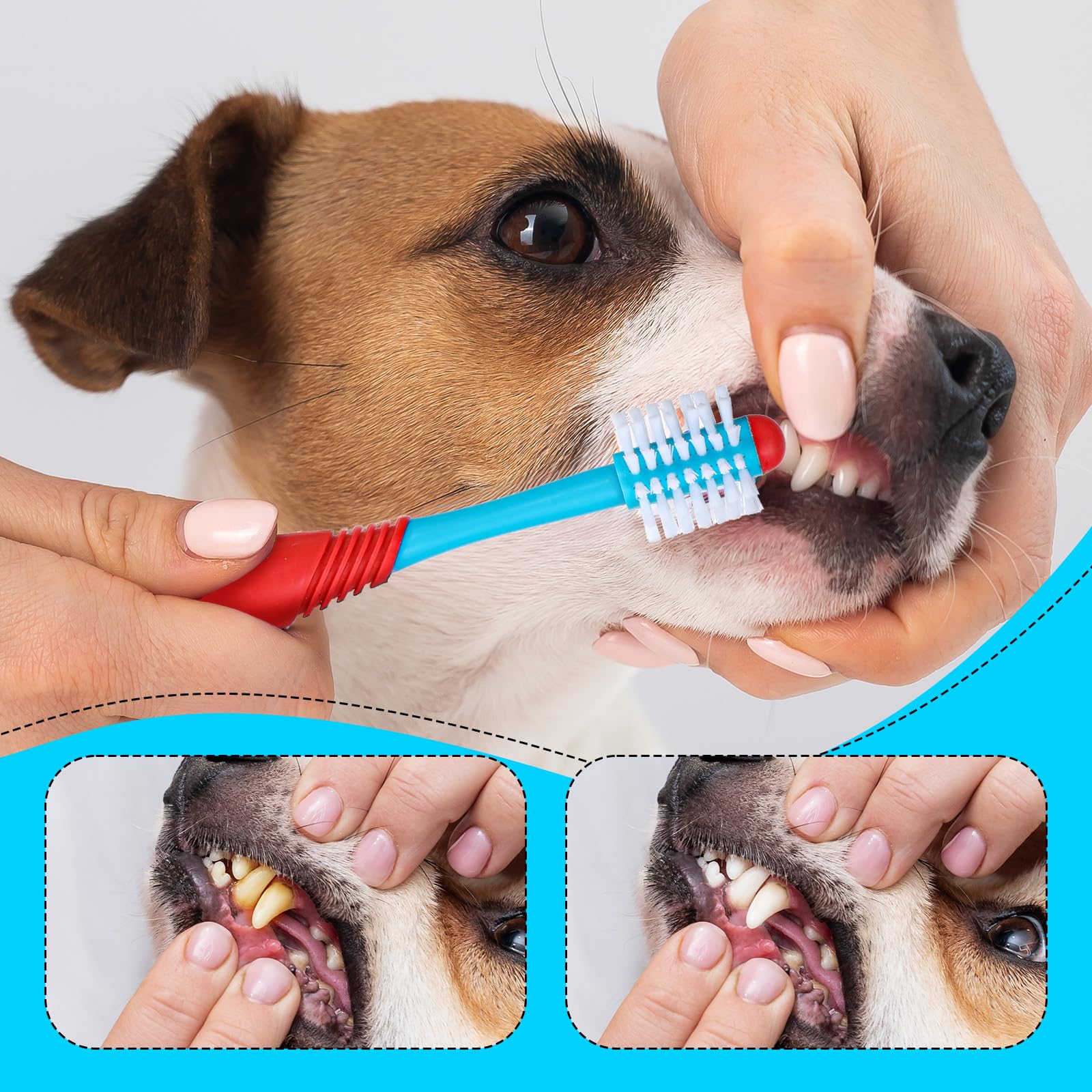 Yuanan dual-head pet toothbrush small-large suited for puppies and adult dogs