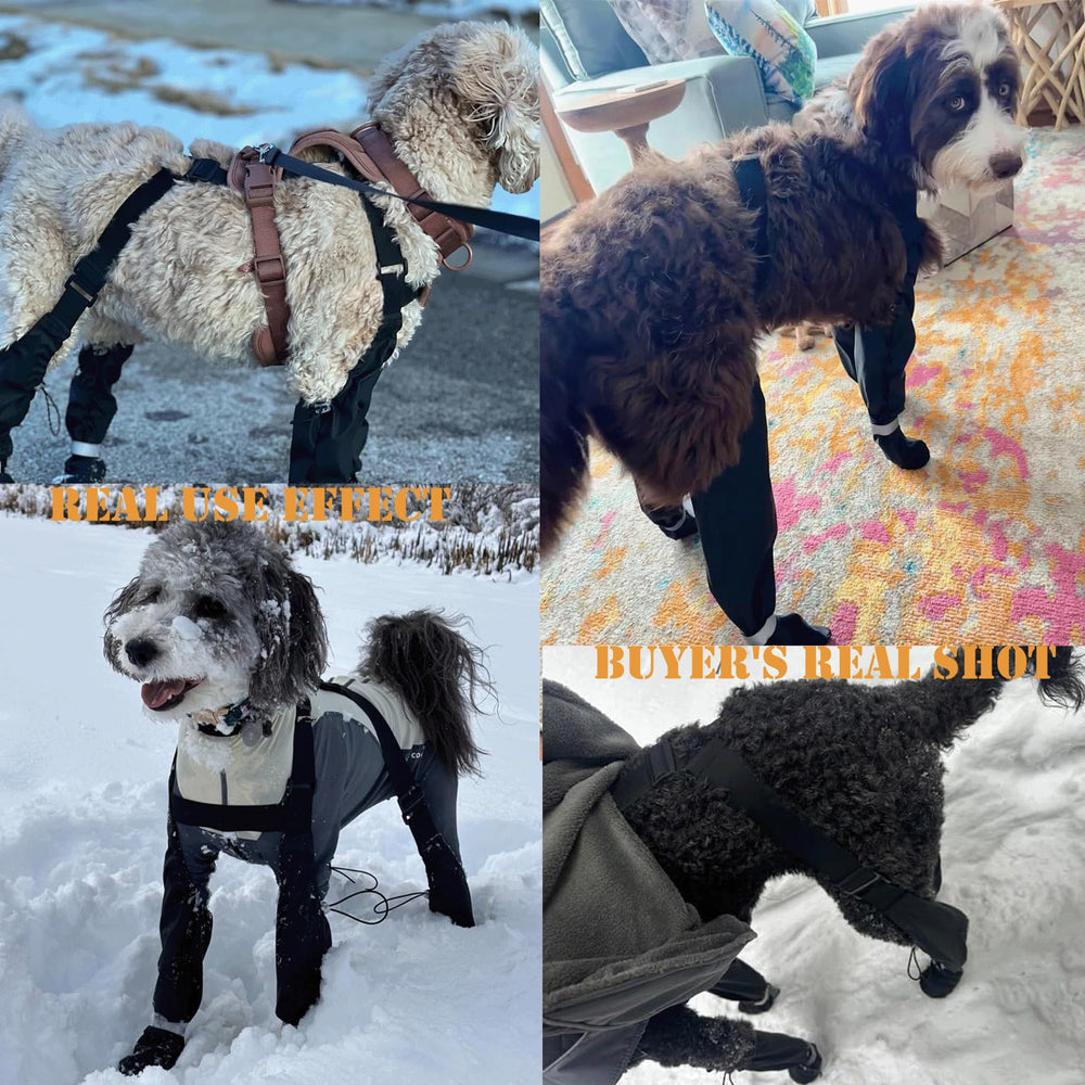 yucca adjustable elastic strap provides custom fit across paws.