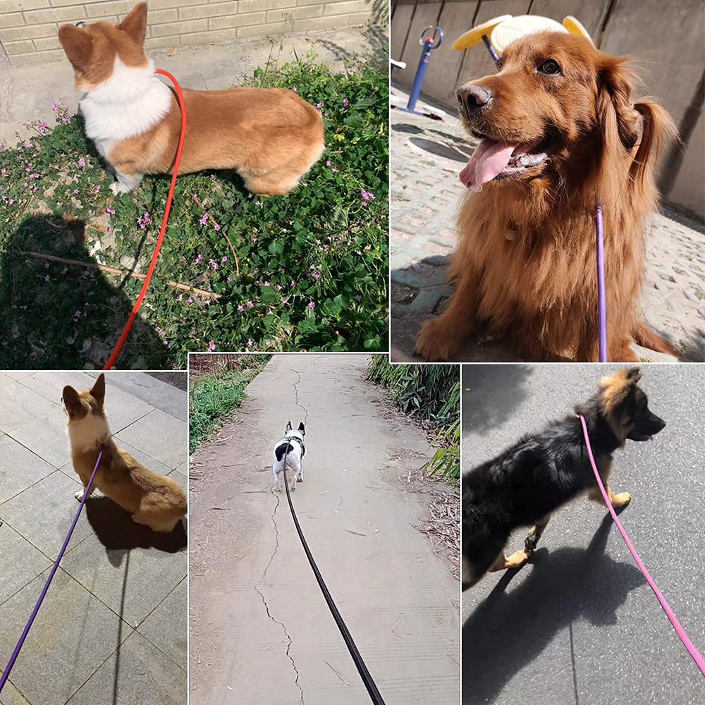 YUCFOREN black color tie-out leash suitable for indoor and outdoor use.
