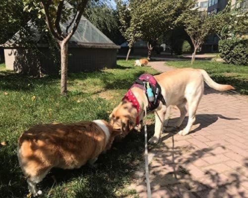 YUCHIYA hands-free leash clip keeps bags accessible during strolls