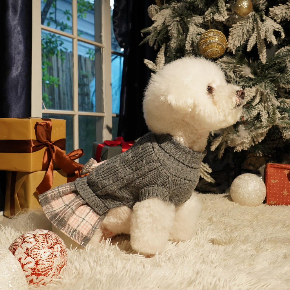 YUDODO garment worn by small dogs during outdoor events and family gatherings.