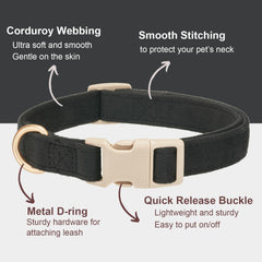 YUDOTE adjustable buckle collar demonstrates secure fit.