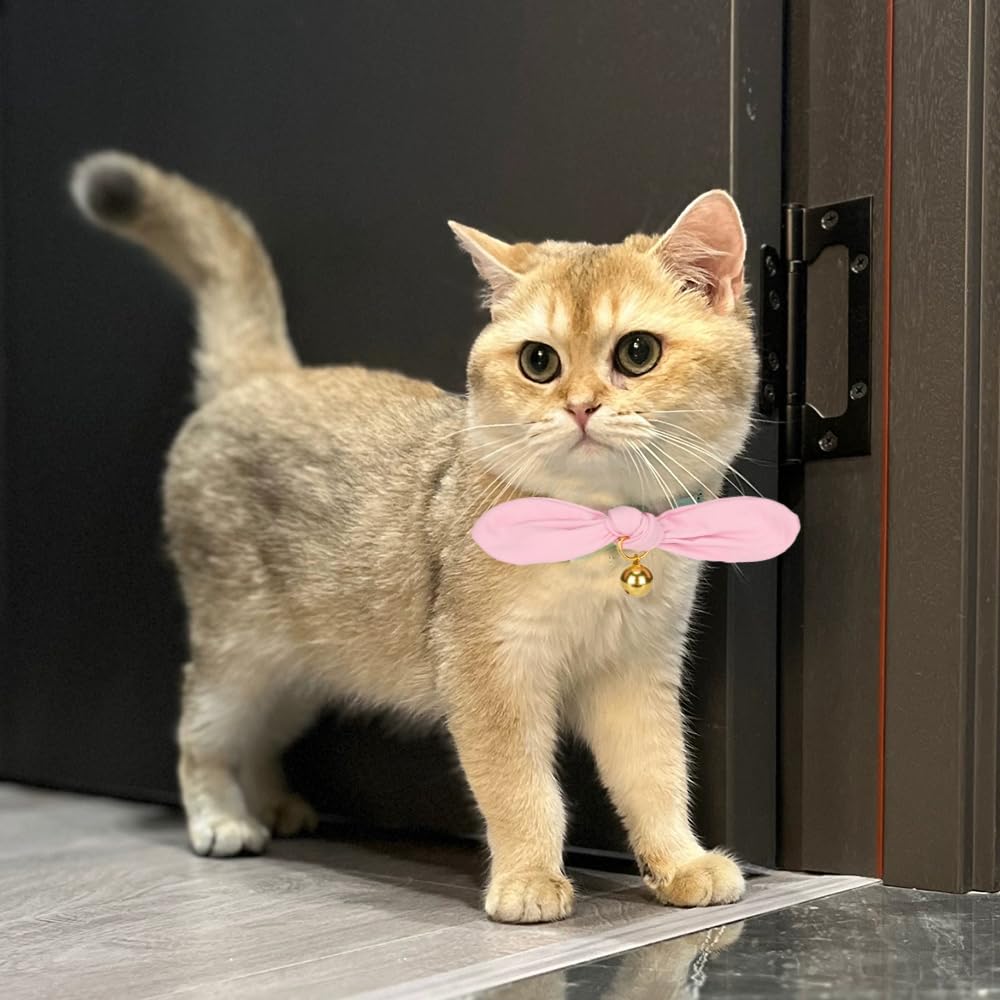 YUDOTE breakaway clasp on pink collar enhances safety