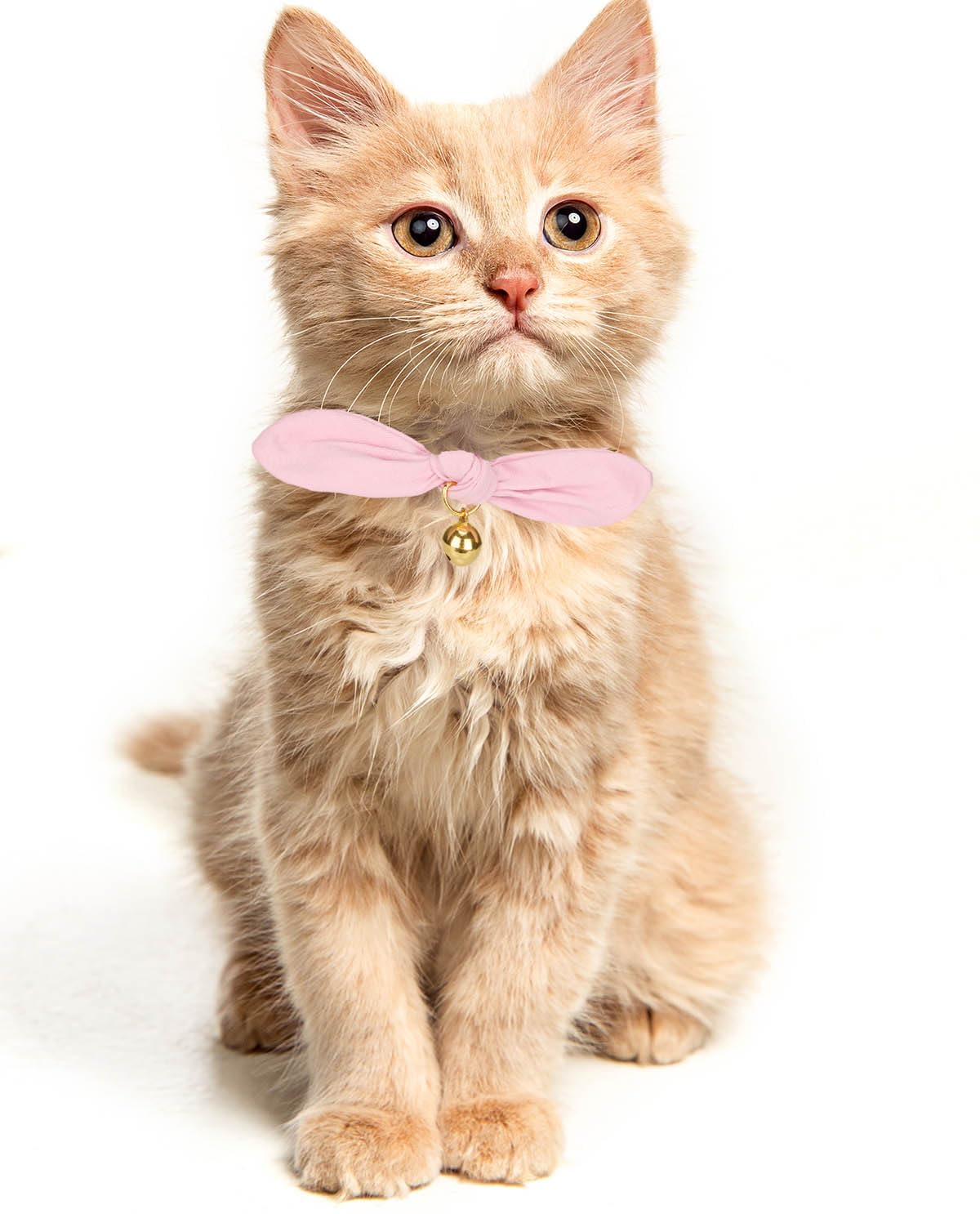 YUDOTE cat wearing pink bunny-ear collar during playtime