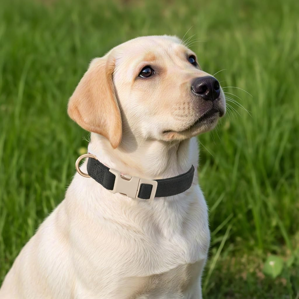 YUDOTE multi-color collar collection for various occasions.