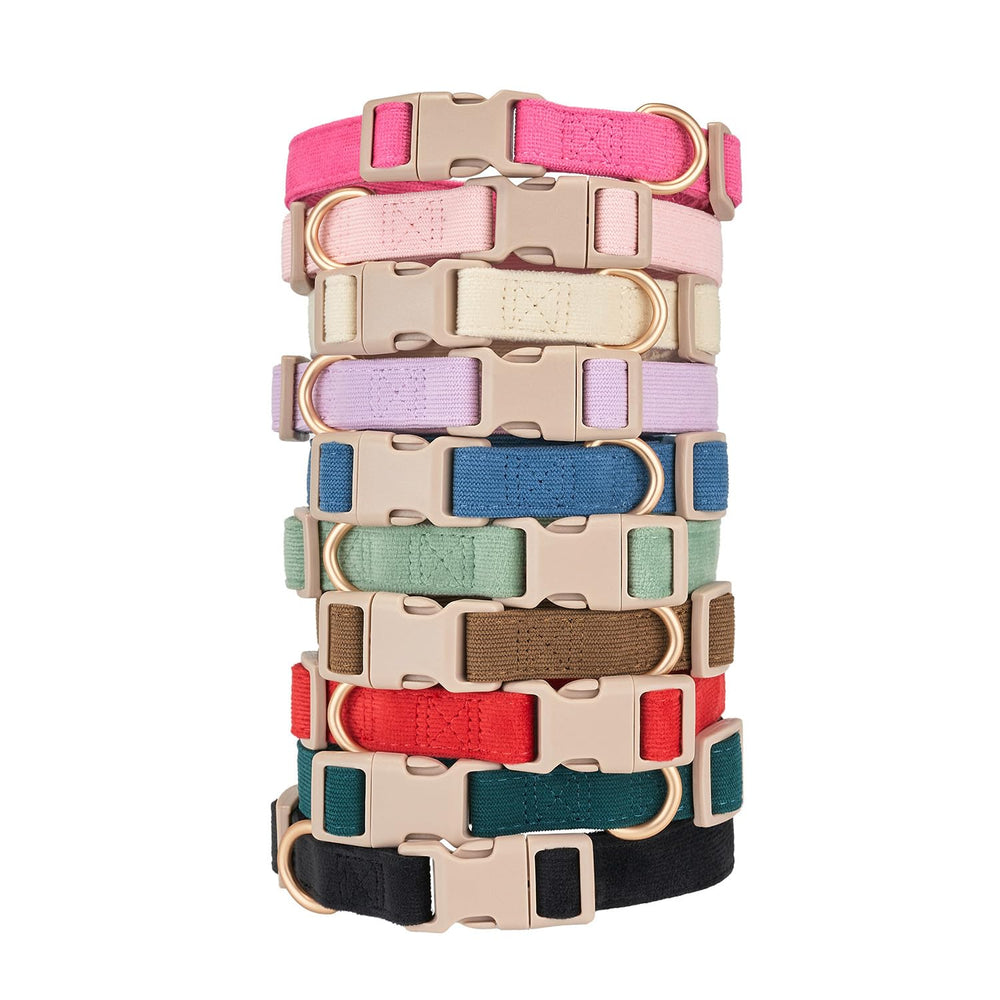 YUDOTE packaging and branding for quality presentation.