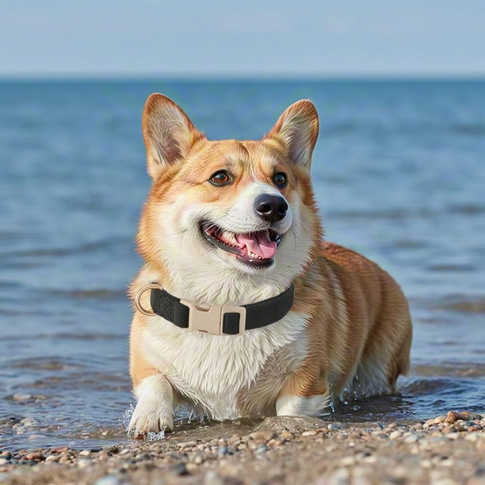 YUDOTE smooth stitching reduces irritation on collar.