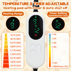 YUEPET cat bed inside plush, soft fabric for snuggling.