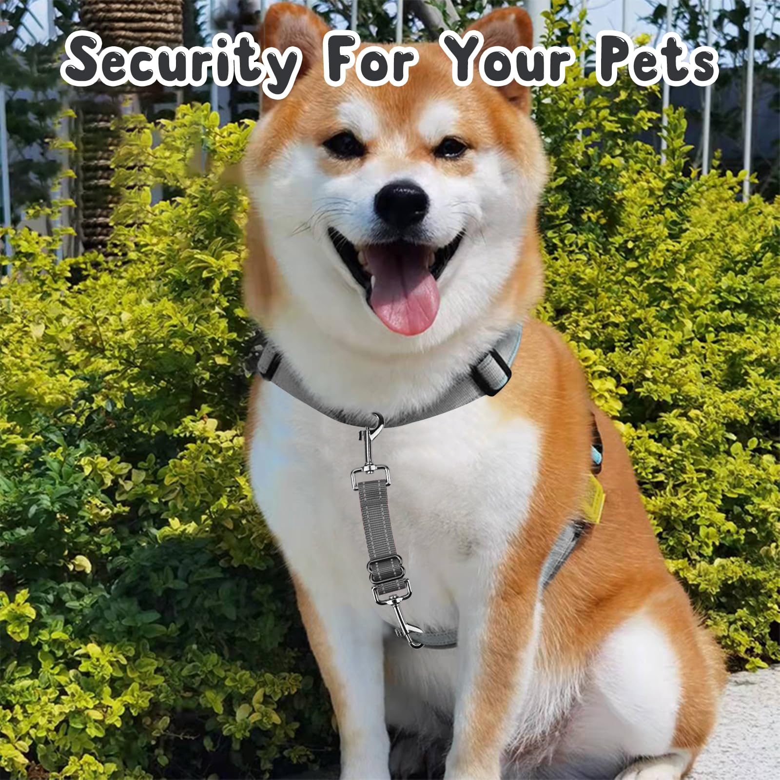 YUEPET clip attached to dog harness during a jog demonstrates safety use.