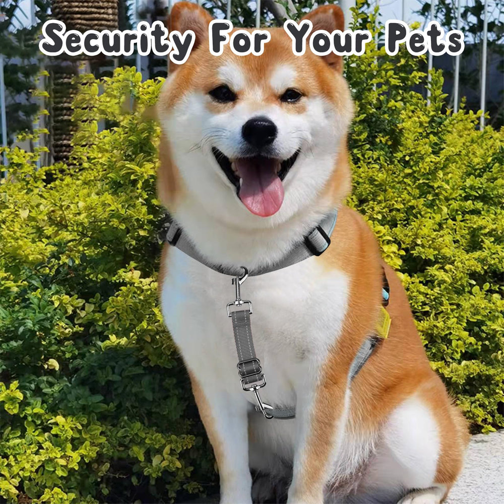 YUEPET clip attached to dog harness during a jog demonstrates safety use.