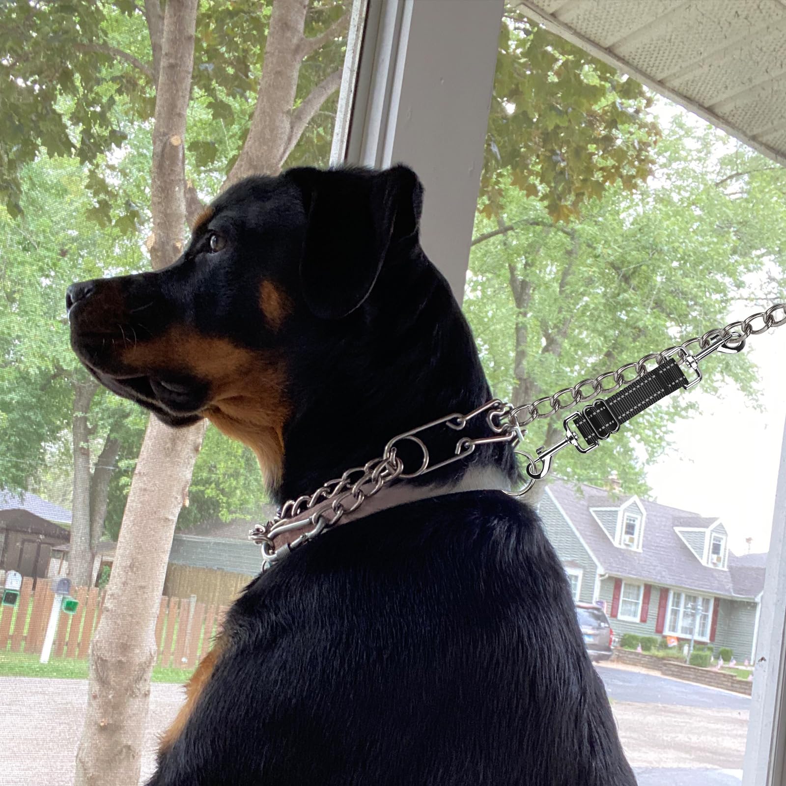 YUEPET packaging set shows two-color backup clips ready for daily use.