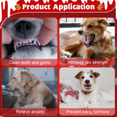 YUEPET ears and tail crinkle dog toy for curious exploration