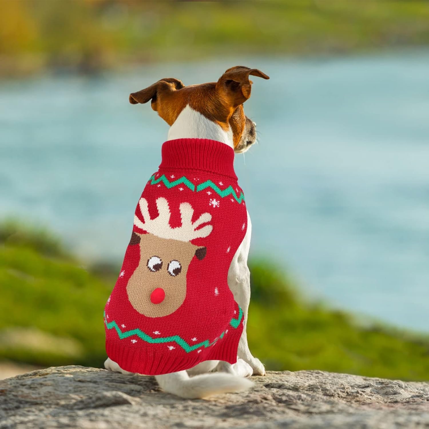 YUEPET available in multiple sizes for puppies to large dogs.