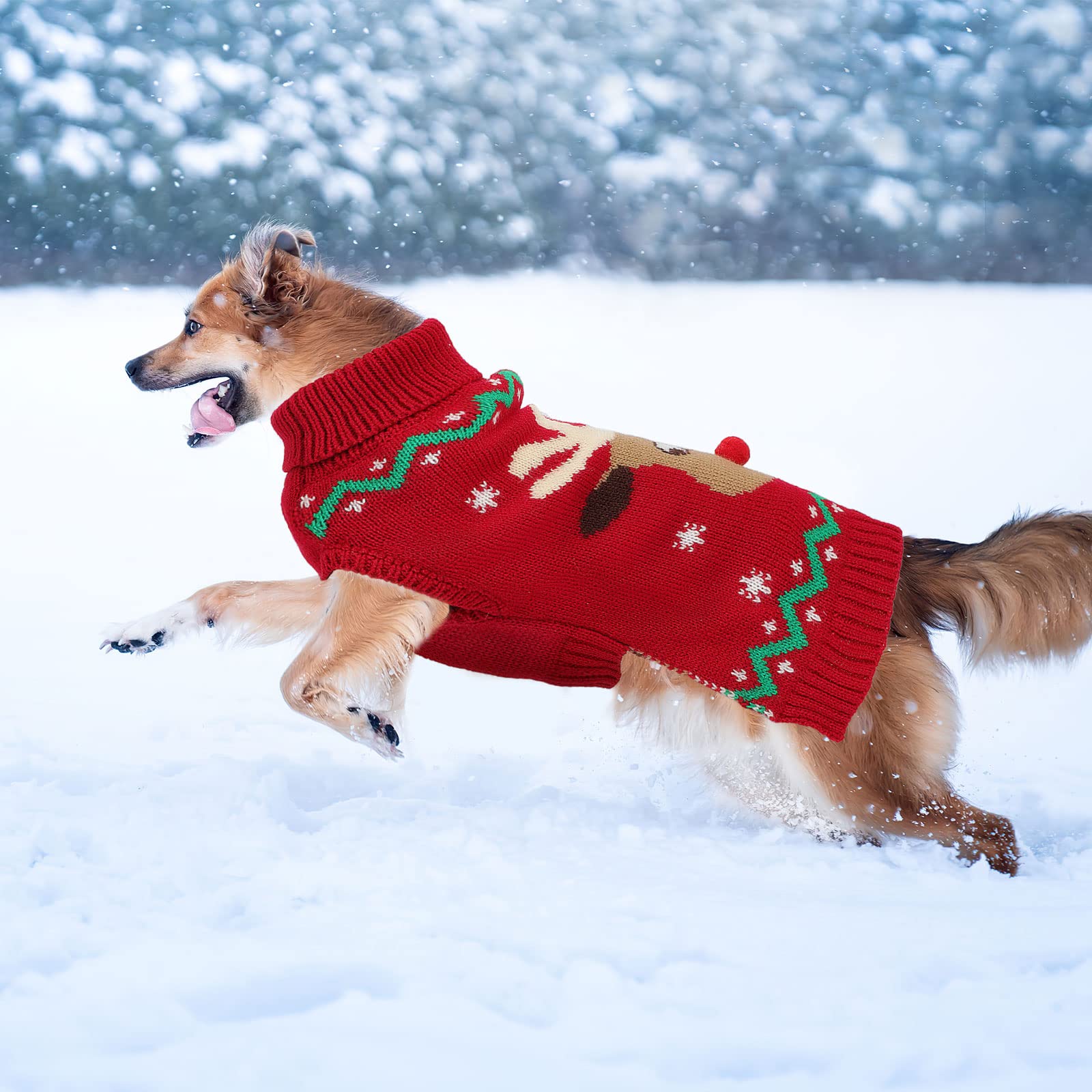 YUEPET machine-washable design simplifies winter care.