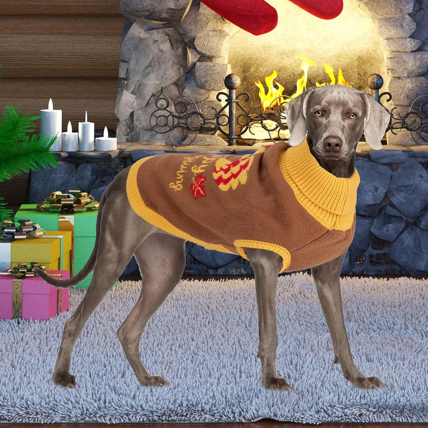 YUEPET holiday-ready dog sweater suits chilly fall or winter strolls.