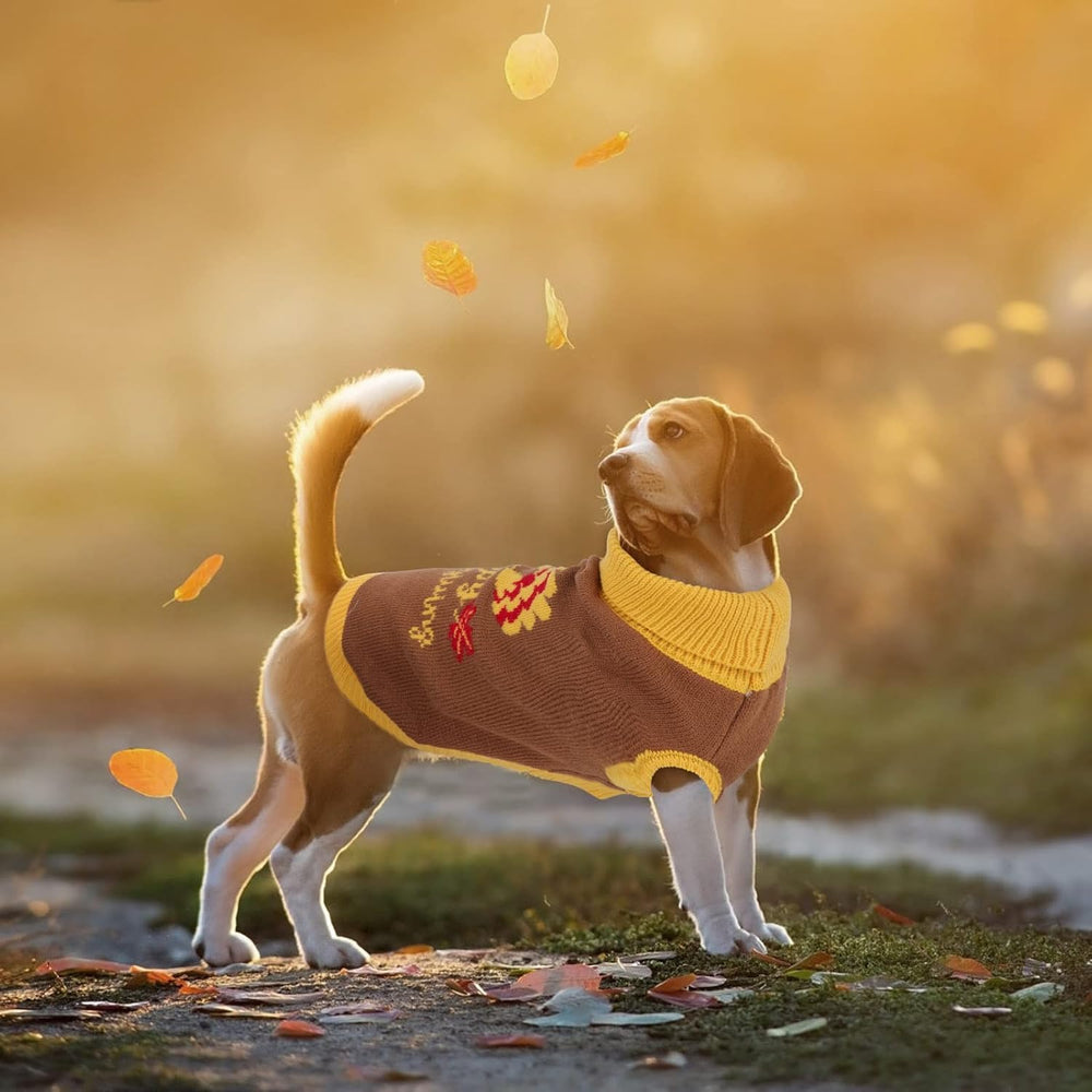 YUEPET washable acrylic sweater is easy to clean after adventures.