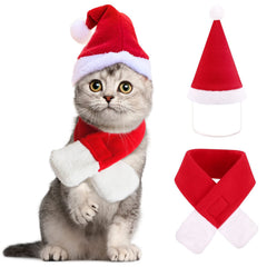 YUJUN cat Santa hat front view, ideal for festive photos
