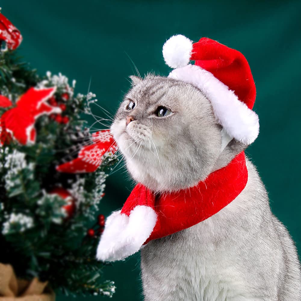 YUJUN cat Santa hat red white design, classic Christmas look