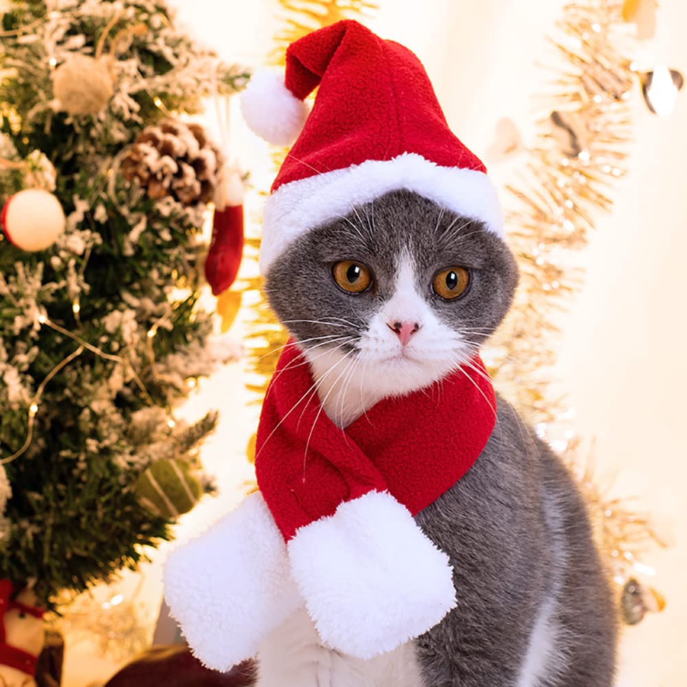 YUJUN cat Santa hat scarf set packaging, compact storage option