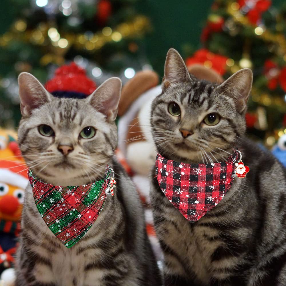 YUJUN gift-ready packaging ready-to-gift presentation for pet lovers