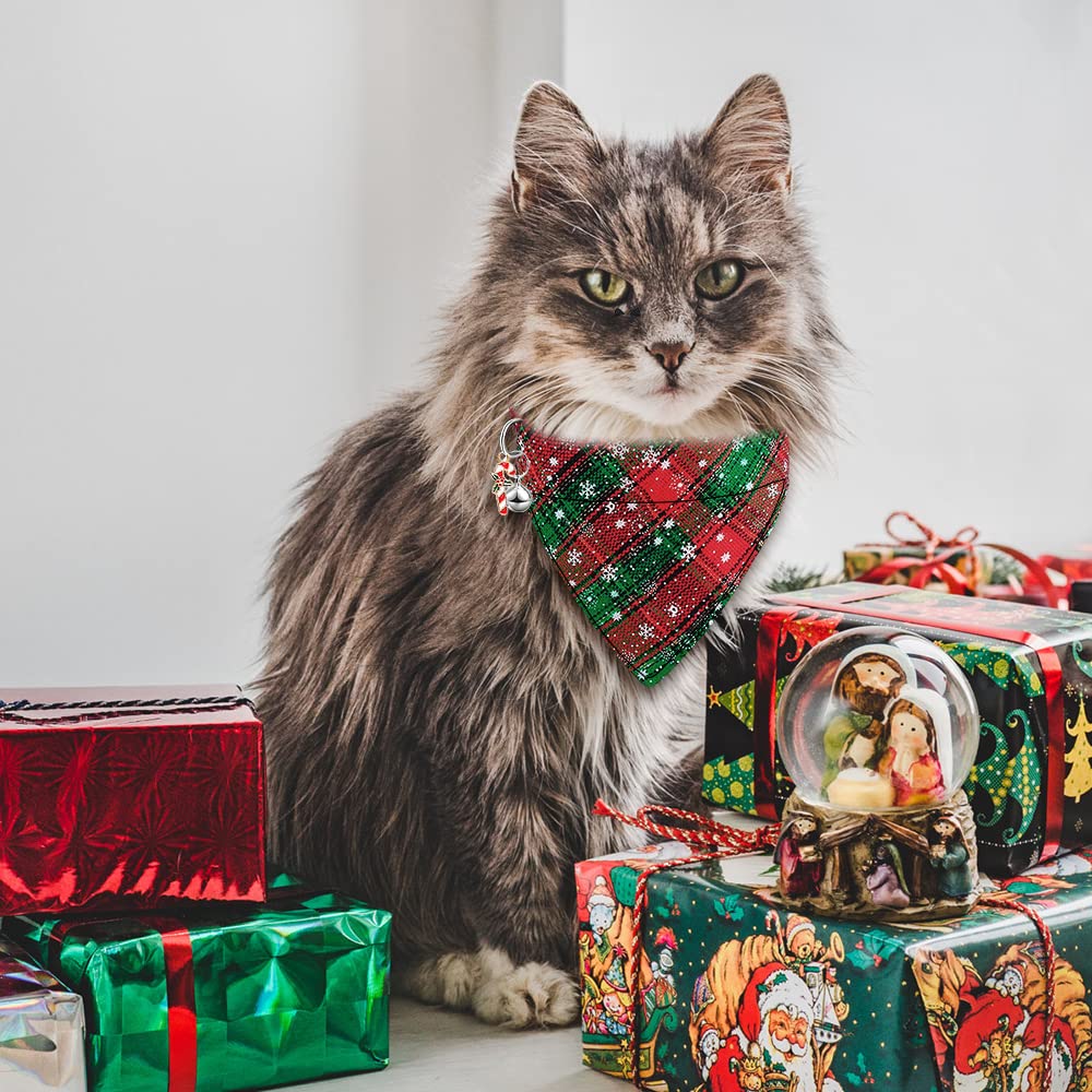 YUJUN puppy kitten wear Christmas outfit showcases a coordinated holiday look