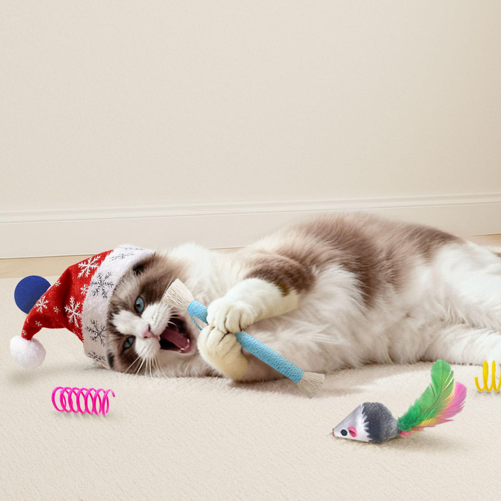 YULOYI colorful mouse toy offers lively chase opportunities and quick reflex training.