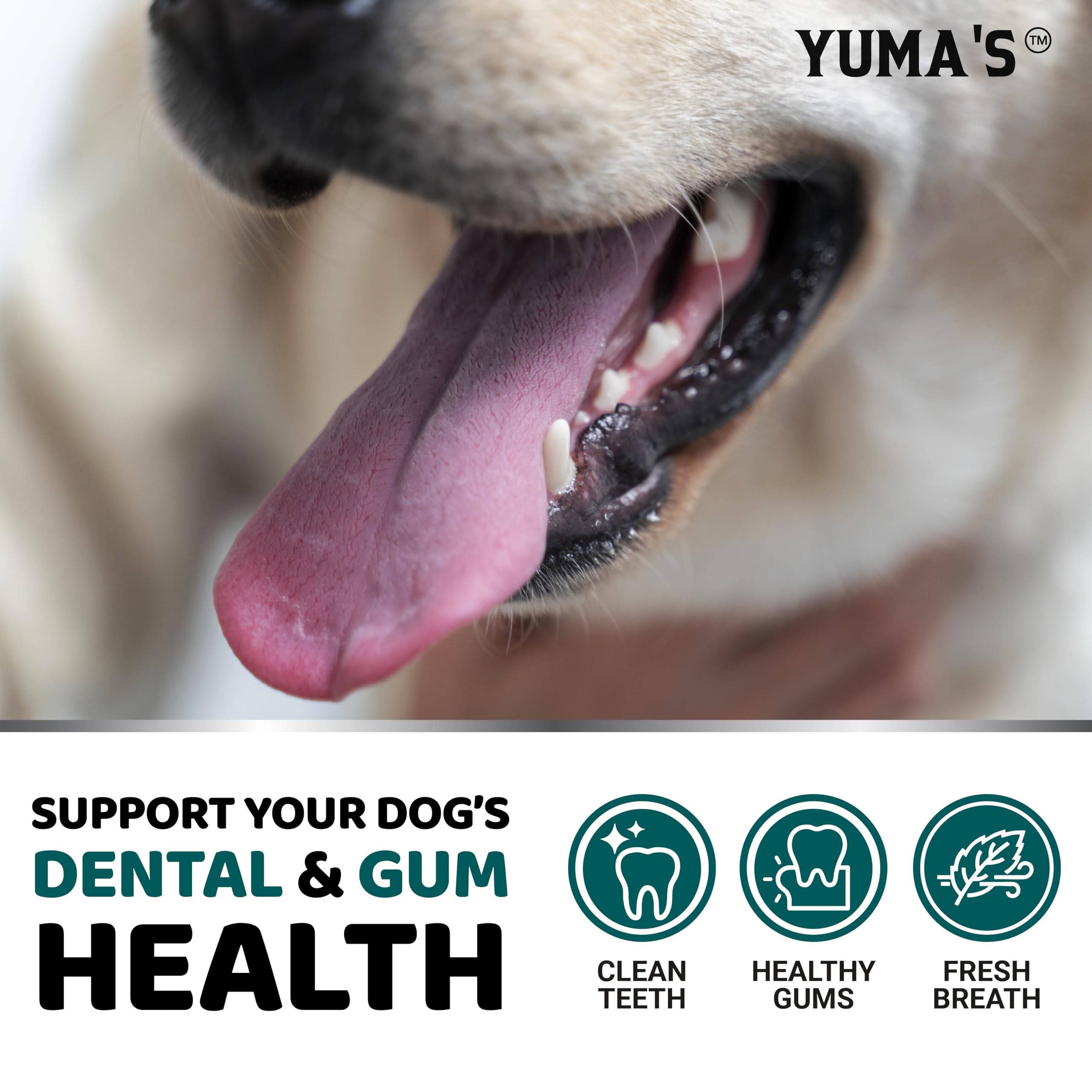 YUMA'S Advanced Dog Dental Powder shown for all breeds and sizes in use