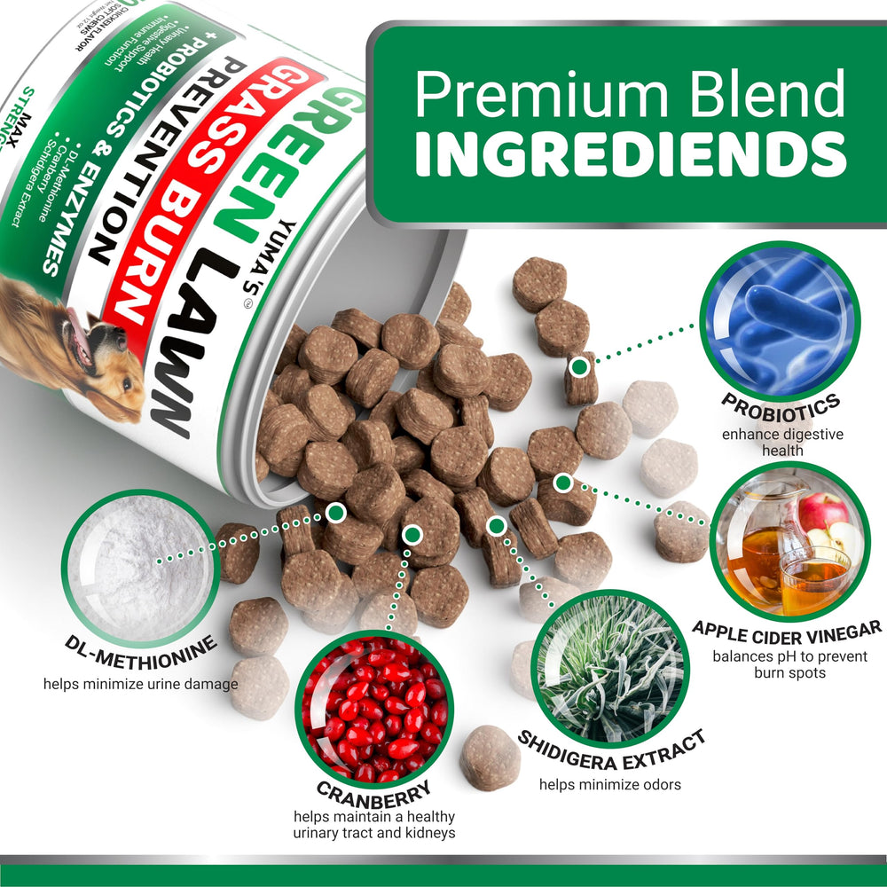 Close-up of YUMA'S soft chews texture with digestive enzymes and probiotics.