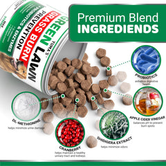 Close-up of YUMA'S soft chews texture with digestive enzymes and probiotics.