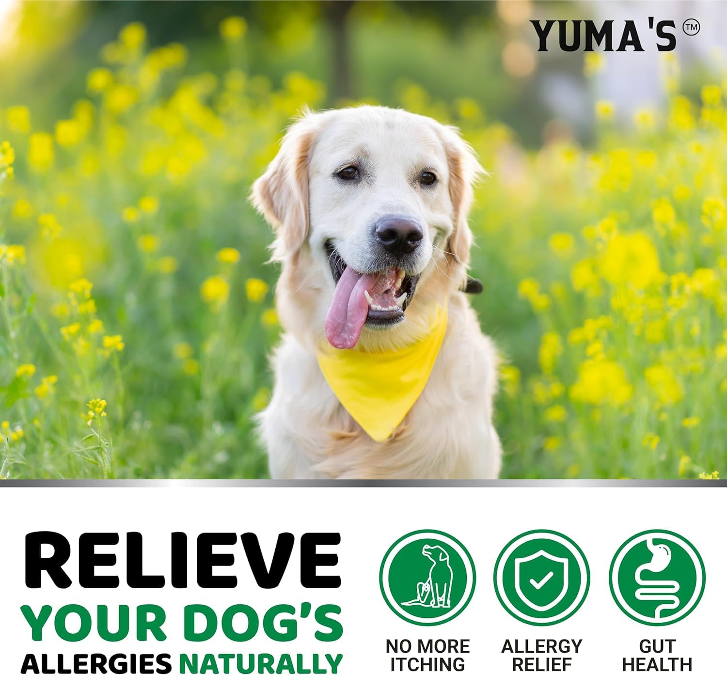 YUMA'S Dog Allergy Chews omega-3 icon communicates skin support and immune health