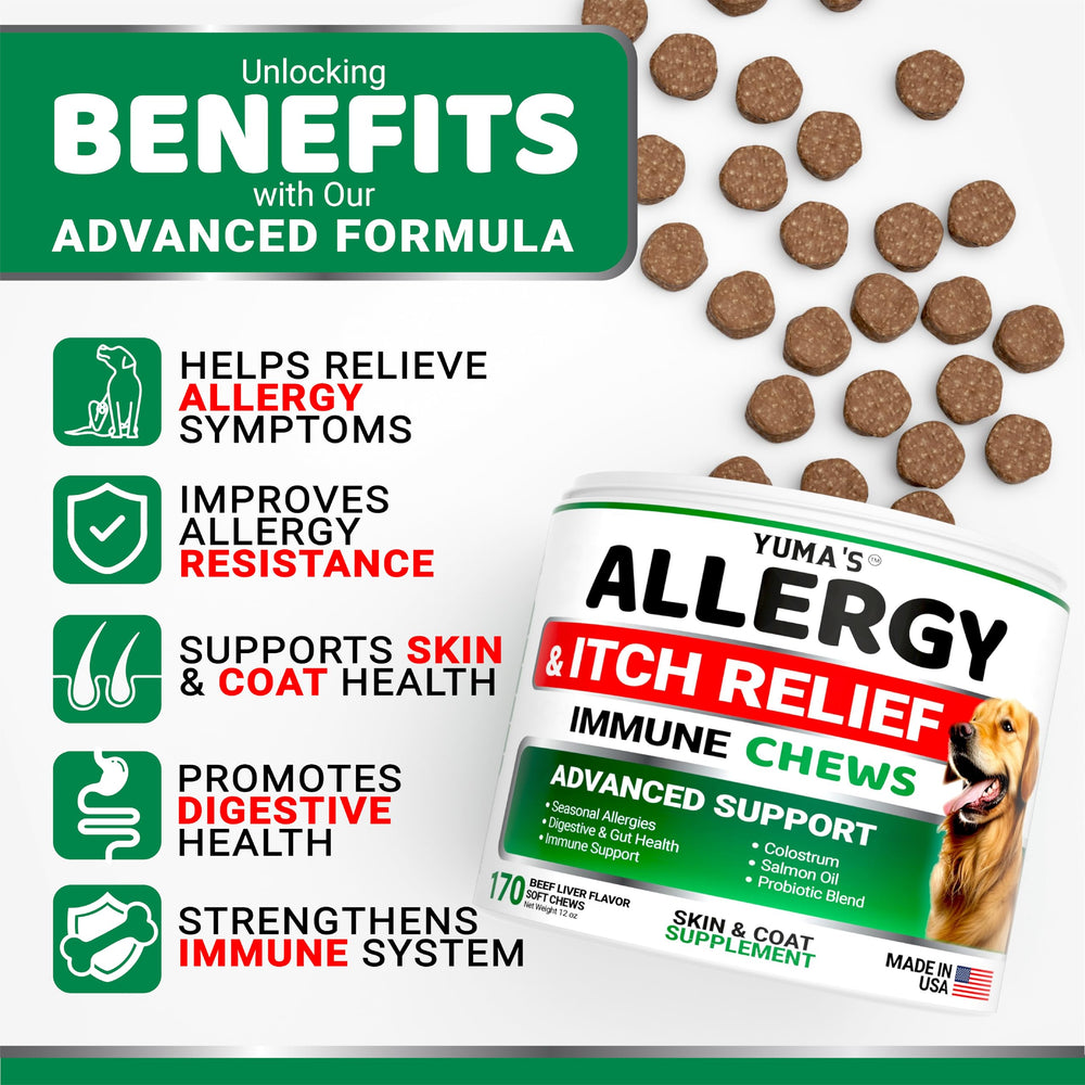 YUMA'S Dog Allergy Relief Chews bottle closeup highlights beef liver flavor and supplement quality