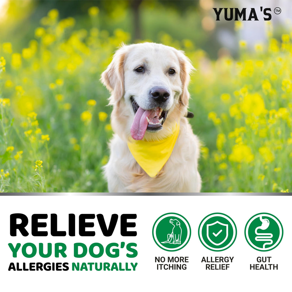 YUMA'S dog allergy relief chews lifestyle shot shows healthy coat support