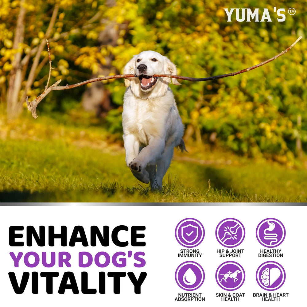 YUMA'S senior-puppy chews on display illustrate suitability for all life stages.