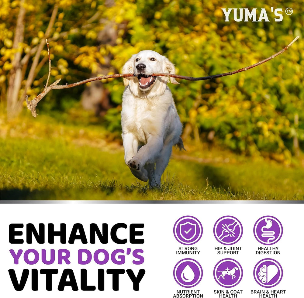 YUMA'S dog multivitamin probiotics 6 strains promotes digestive balance.