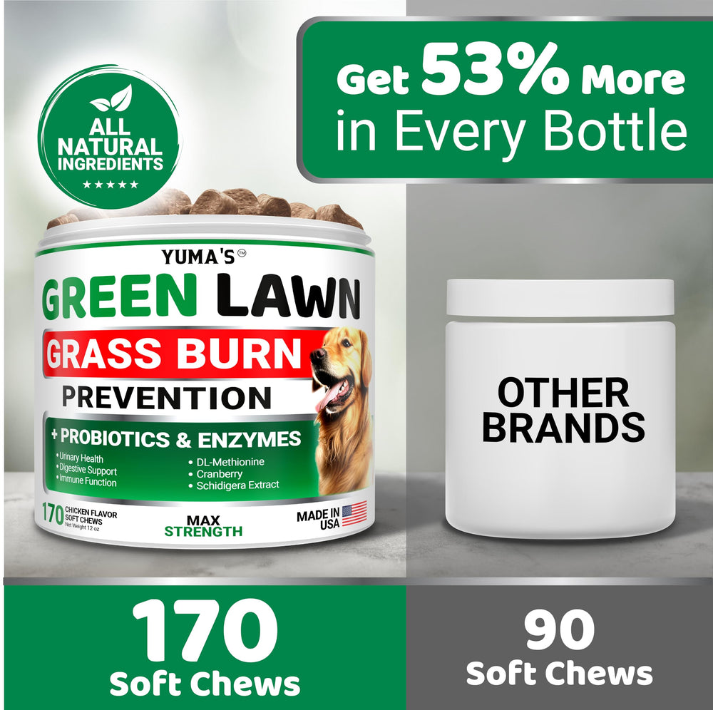 YUMA'S chews shown as dog grass saver reducing urine burn spots.